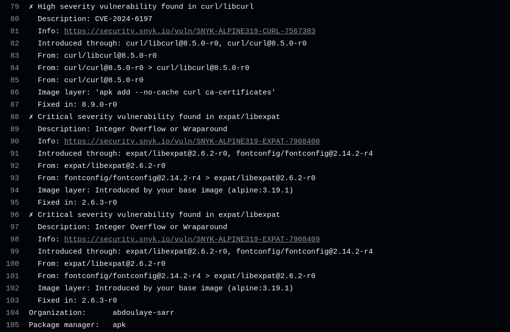 Snyk docker scan result